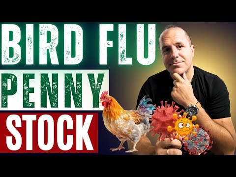 A Stock To Watch For Avian Influenza Bird Flu | Plus IPO Review For OSTX Stock