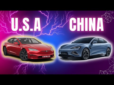 TESLA VS BYD (The Real Winner)!