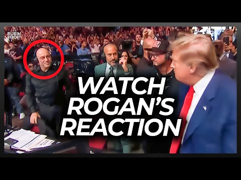 Watch Joe Rogan’s Reaction When Trump Goes Over to Shake His Hand at UFC Event