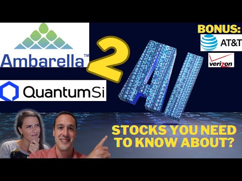 2 AI Semiconductor Stocks You Need To Know About Right Now: Ambarella and Quantum SI (AMBA QSI)