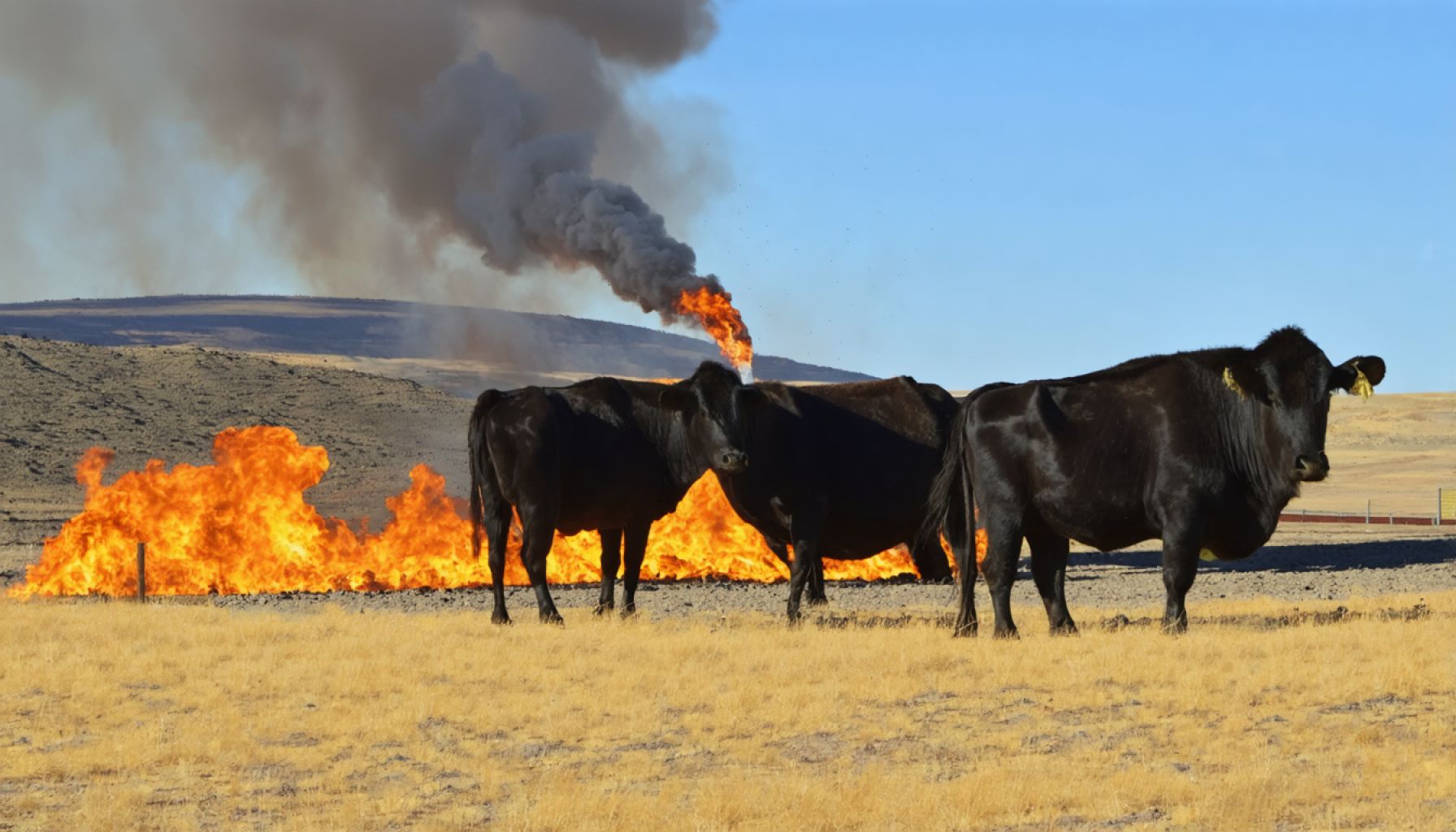 Wyoming’s Quest for Cleaner Energy: A Game-Changer in Carbon Capture 